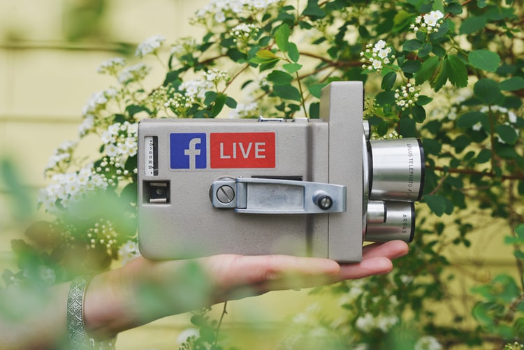 Como gerar renda com live
